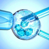 Национальная программа ЭКО и ПГД эмбриона